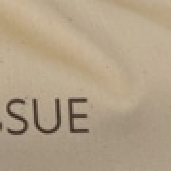 Θήκη για Χαρτομάντηλα με Εκτύπωση Bath Tissue Dutch 34x20cm