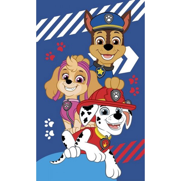 Πετσέτα Βελουτέ 30x50 Paw Patrol 40
